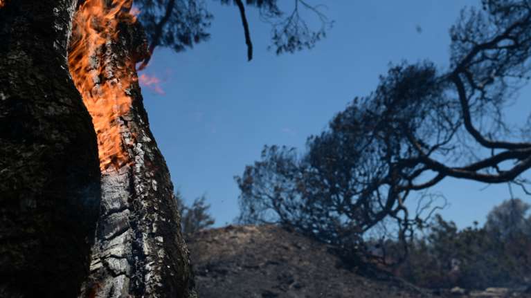 Φωτιά στον Μανδρότοπο της Δράμας - Μεγάλη κινητοποίηση με 45 πυροσβέστες και τέσσερα ελικόπτερα