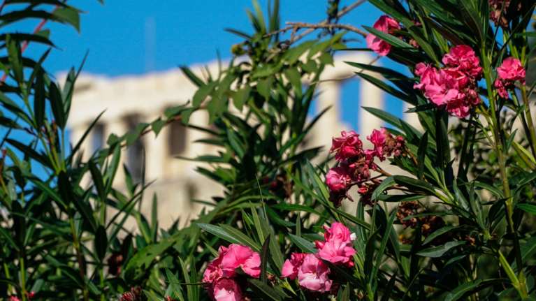 Καιρός: Μικρή άνοδος της θερμοκρασίας και ενισχυμένοι βοριάδες - Αναλυτική πρόγνωση