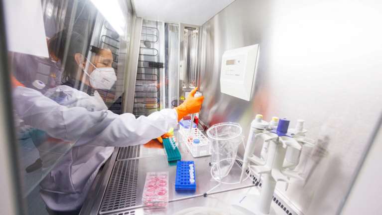 Ευλογιά των πιθήκων: Ενθαρρυντικά, αλλά ανεπαρκή τα αποτελέσματα για αντιικό φάρμακο - Τι δείχνει νέα μελέτη