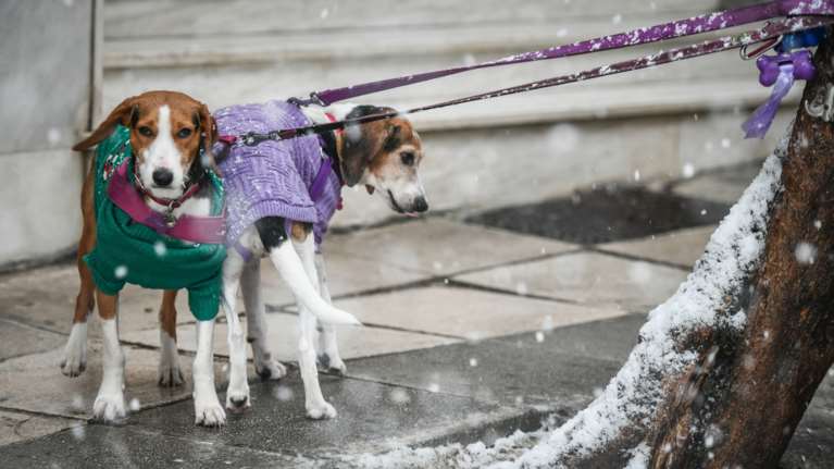 Βροχές και τσουχτερό κρύο σήμερα - Σε τρεις φάσεις ο καιρός τις επόμενες επτά ημέρες