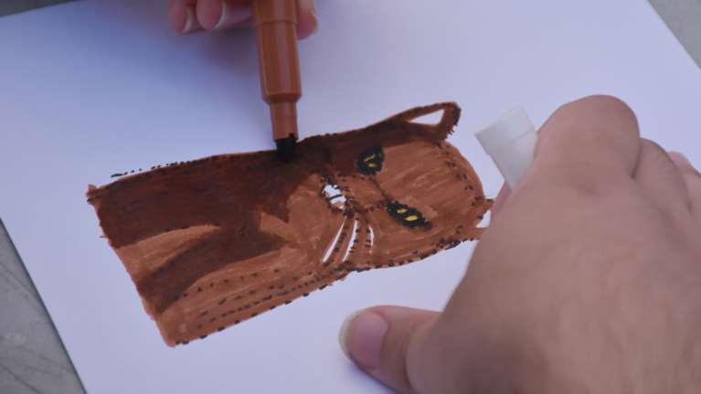 Πόσο βάσιμη είναι η σύνδεση της γάτας με το τοξόπλασμα - Αλήθειες και ψέματα