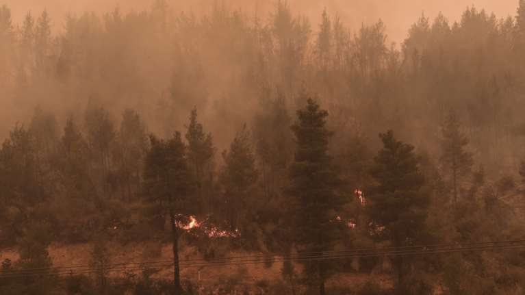 Φωτιά στην Εύβοια: Η πυρκαγιά απειλεί τα χωριά Γαλατσώνα, Αβγαριά και Ασμίνι – Μάχη στο μέτωπο προς Ιστιαία [Βίντεο]