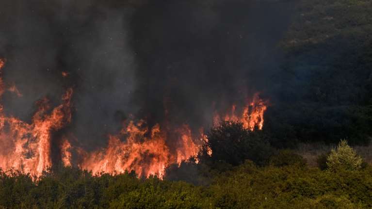 Το προφίλ των εμπρηστών: Πώς και γιατί βάζουν φωτιές - Προκαλούν οργή οι δικαιολογίες τους