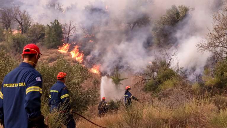 Μάχη με τις αναζωπυρώσεις για 13η ημέρα στον Εβρο - Προς τους οικισμούς Σιδηρώ και Γιαννούλη η φωτιά
