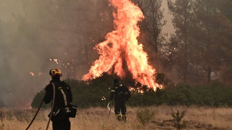 Σε ύφεση η φωτιά στον Ωρωπό: Μάχη με διάσπαρτες εστίες και αναζωπυρώσεις - Γλίτωσαν τα σπίτια