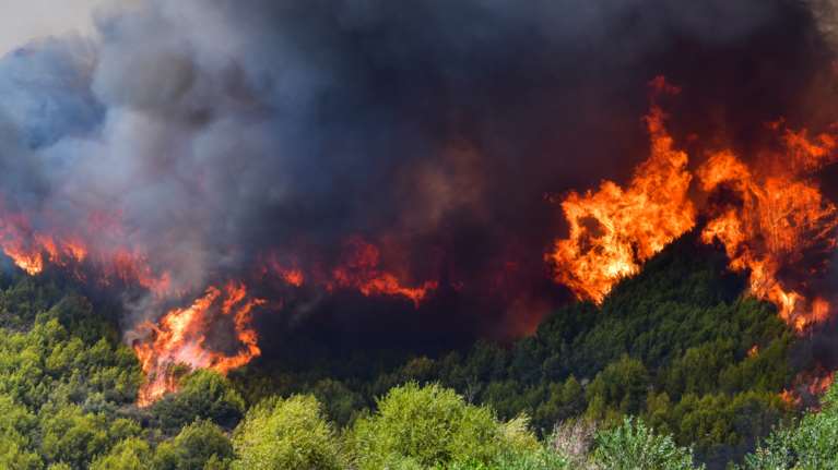 Φωτιά στην Αρχαία Ολυμπία: Εγκλωβισμένοι στο Πελόπιο - Καίγονται σπίτια - Μήνυμα 112 για εκκένωση [εικόνες-βίντεο]