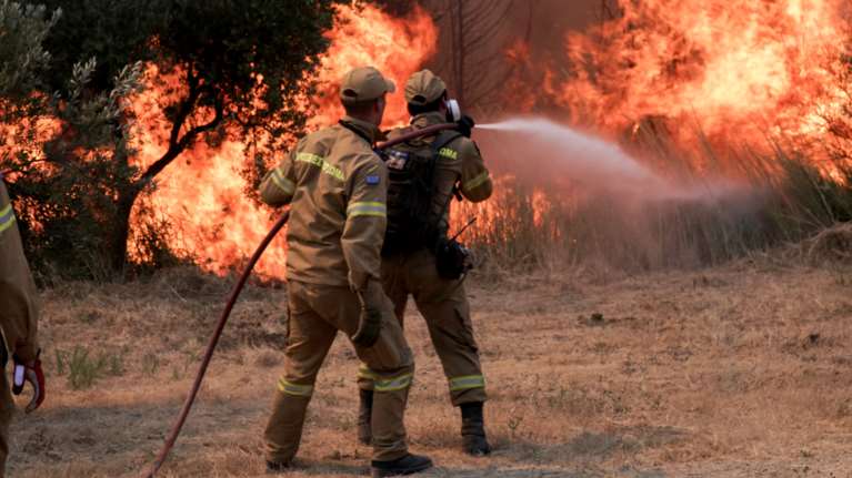 Φωτιά στην Ηλεία: Εγκλωβισμένοι οι 150 κάτοικοι του χωριού Κλαδέος - Εκτός ελέγχου η πυρκαγιά [εικόνες]