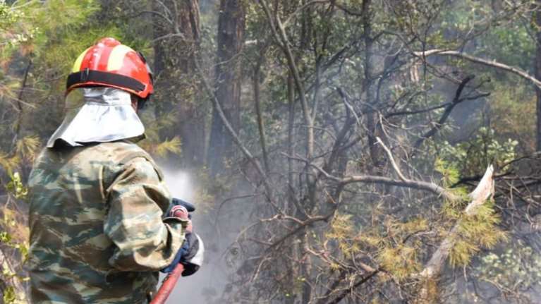 Φωτιά στον Έβρο: Τρομάζει η οικολογική καταστροφή στη Δαδιά - Μέχρι τώρα έχουν γίνει στάχτη 15.000 στρέμματα [βίντεο]