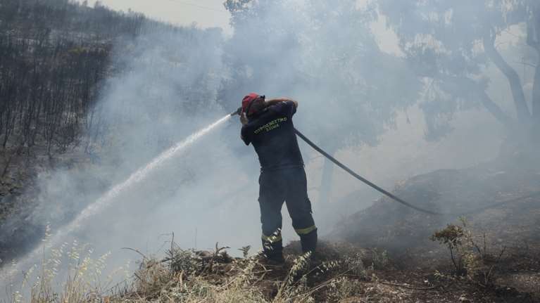 Φωτιά στα Μέγαρα: Ελπίδες από την αντιστροφή του ανέμου, &quot;κατευθύνεται προς τα καμένα&quot; λέει ο ο δήμαρχος Μεγαρέων