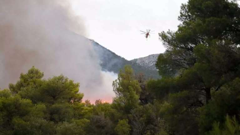 Ευθύμιος Λέκκας: Τι είναι το φαινόμενο της καμινάδας που έκανε ανεξέλεγκτη τη φωτιά στην Πάρνηθα [βίντεο]