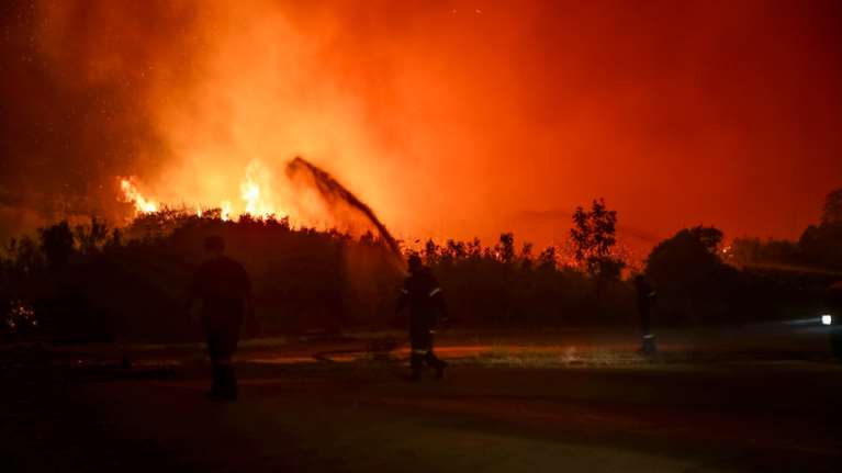 Φρίκη στο δάσος της Δαδιάς: Δυο παιδάκια ανάμεσα στους 18 απανθρακωμένους μετανάστες