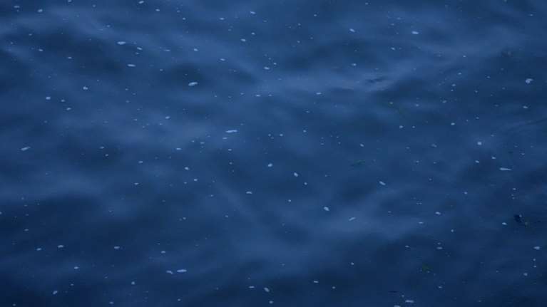 Ολυμπιακοί Αγώνες 2024: Αναβλήθηκε το τρίαθλο ανδρών εξαιτίας της μόλυνσης του Σηκουάνα