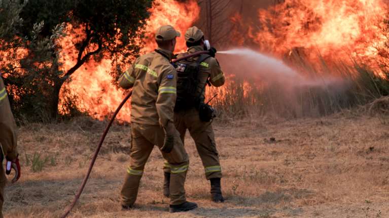 Μεγάλη αναζωπύρωση στην Ηλεία- Μάχη, ώστε να μη φθάσει η φωτιά στο χωριό Νεμούτα [βίντεο]