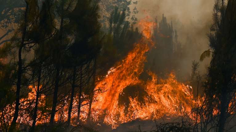 Οι δασικές πυρκαγιές απειλούν την Ευρώπη: Ρεκόρ καμένων εκτάσεων φέτος - "Στάχτη" πάνω 6,6 εκατ. στρέμματα