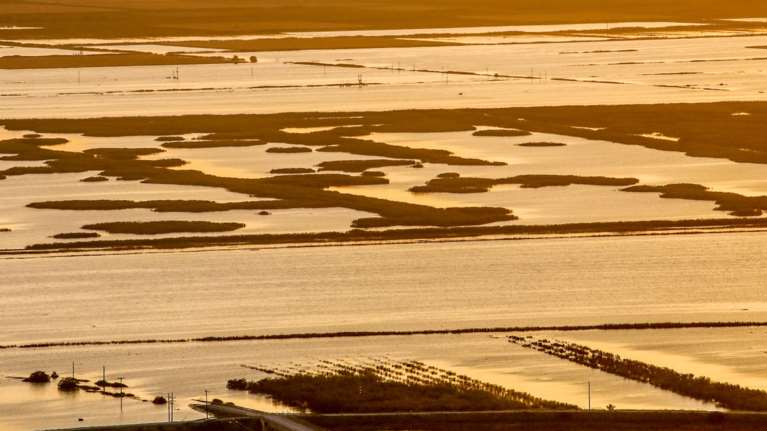 Μετωπική ΝΔ – ΠΑΣΟΚ για ΟΠΕΚΕΠΕ και &quot;πράσινο&quot; στέλεχος που δήλωνε δημόσιες εκτάσεις στη Θεσσαλία - Ο Χάρης Δούκας ζητά διαγραφές