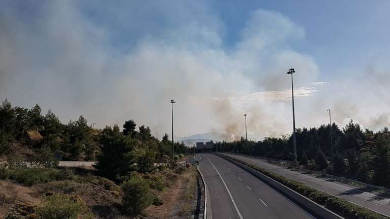 Υπό έλεγχο η φωτιά στο Μαρτίνο - Εξετάζεται το σενάριο εμπρησμού [Εικόνες]