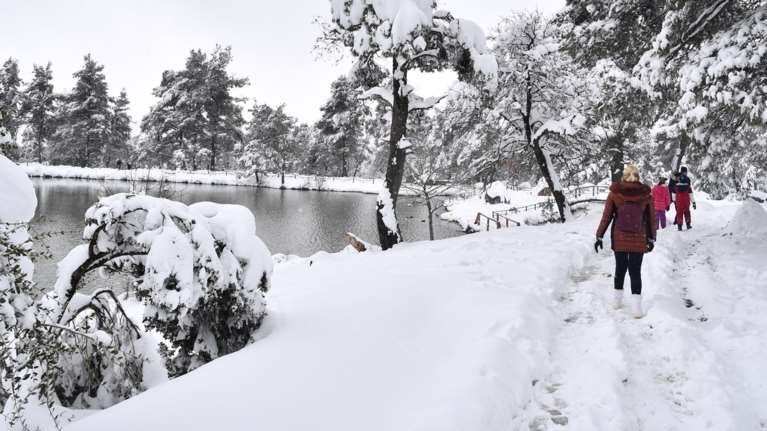 Στην κατάψυξη η χώρα: Έρχονται χιόνια ακόμη και σε χαμηλό υψόμετρο - Πού θα το στρώσει στην Αττική τις επόμενες ώρες