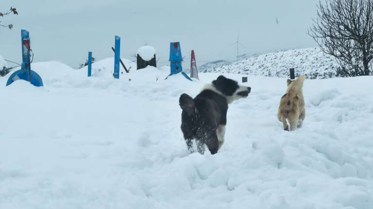Επιδείνωση του καιρού από σήμερα με πολύ κρύο και χιόνια ακόμη και στην Αττική - Μπαράζ συσκέψεων στην Πολιτική Προστασία