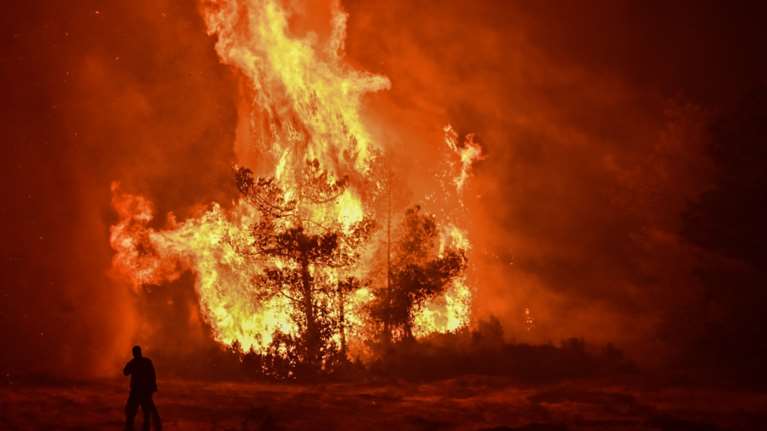 Νύχτα-εφιάλτης στον Ωρωπό: Σκληρή μάχη με τις ανεξέλεγκτες φλόγες στις αυλές των σπιτιών στο Ασπροχώρι [εικόνες - βίντεο]