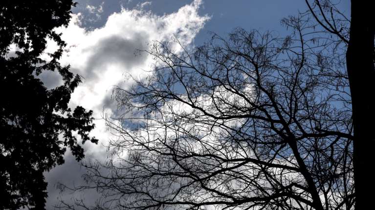 Ο καιρός το Σαββατοκύριακο: Με ανοιξιάτικες θερμοκρασίες και συννεφιές - Πτώση θερμοκρασίας από το βράδυ της Κυριακής