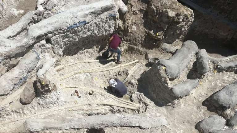 Το απολιθωμένο δάσος της Λέσβου και η καλδέρα της Σαντορίνης στα 100 μνημεία παγκόσμιας Γεωλογικής Κληρονομιάς