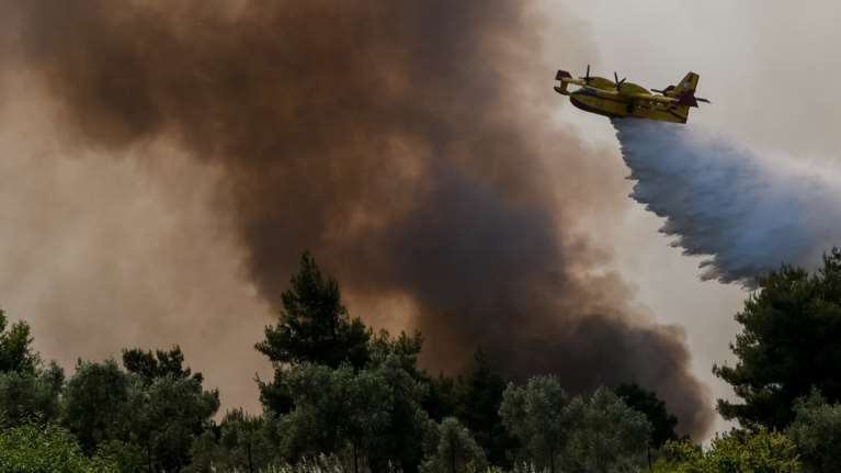 Φωτιά στον Σχίνο: Αγώνας δρόμου για τις αναζωπυρώσεις - Αγωνία για τα πύρινα μέτωπα σε Καλκάνι και Παπαγιαννέικα