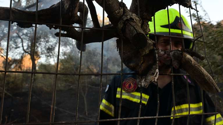 Σε ύφεση η πυρκαγιά σε Ραφήνα και Πικέρμι: Ολονύχτια μάχη με τις αναζοπυρώσεις [εικόνες - βίντεο]