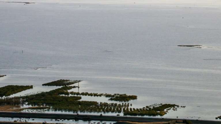Τραγικό τέλος για τον άνδρα που αγνοούνταν στη λίμνη Κάρλα: Εντοπίστηκε η σορός του στον τεχνητό ταμιευτήρα