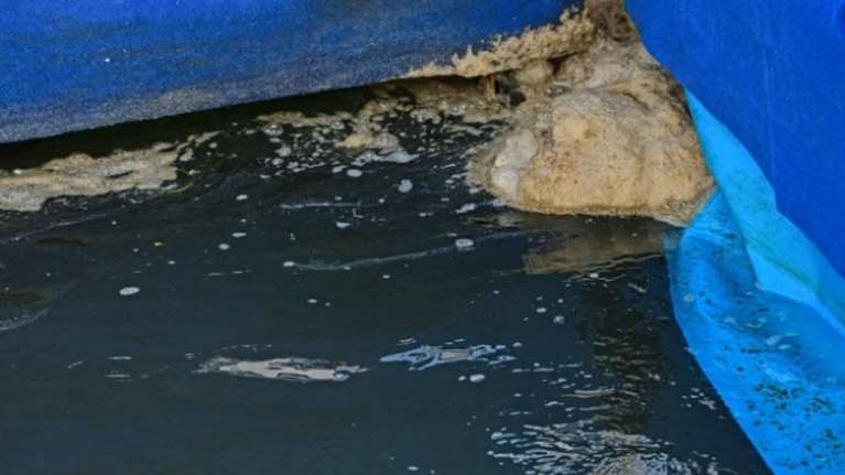 Ολυμπιακοί Αγώνες 2024: Σκηνές από άλλον αιώνα πάλι στον Σηκουάνα - Κολυμπούσαν δίπλα σε ακαθαρσίες και σωλήνες αποχέτευσης