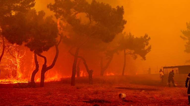 Φωτιά στη Λέσβο: Εκκενώνεται η Βρίσα και ο Σταυρός - Μάχη με τις φλόγες σε τρία μέτωπα - Συνεχείς αναζωπυρώσεις