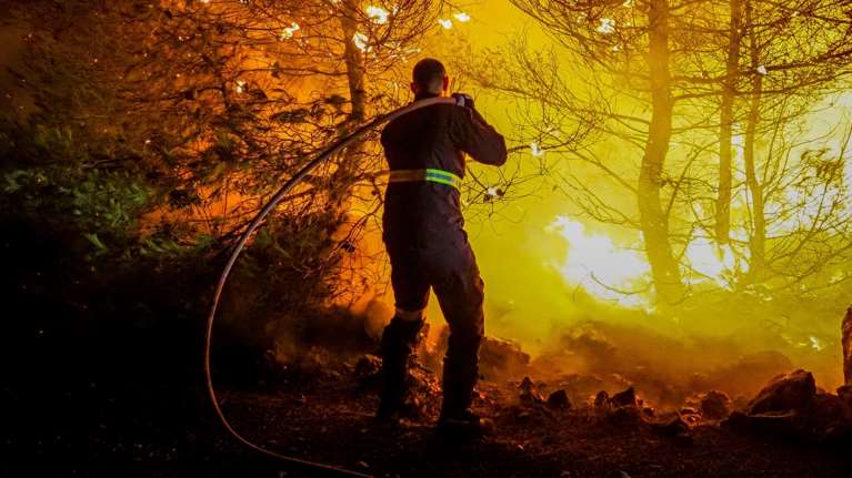Εύβοια: Χωρίς μέτωπο η πυρκαγιά, μάχη με διάσπαρτες εστίες - Ρίψεις νερού από τα εναέρια μέσα [εικόνες]