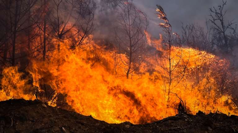 Φωτιά στη Μαγνησία: Ολονύκτια η μάχη με τις φλόγες - Νέο 112 για έξι οικισμούς - &quot;Μείνετε στα σπίτια σας&quot; λέει ο Δήμος Βόλου