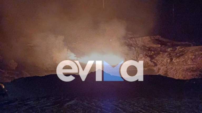 Φωτιά στην Κάρυστο: Ξέσπασε σε δύσβατο σημείο στον Άγιο Δημήτριο [Βίντεο]