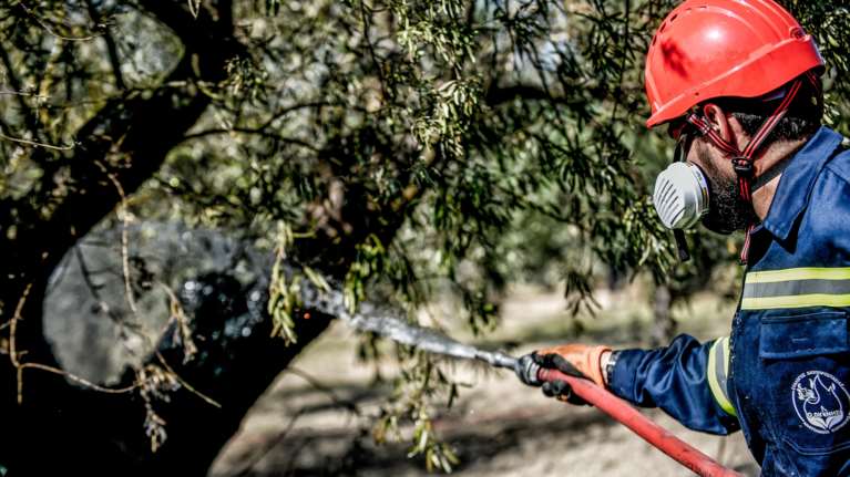 Την εκδοχή εμπρησμών στις φωτιές σε Αιτωλοακαρνανία και Ήπειρο εξετάζουν κλιμάκια της Πυροσβεστικής και της Αστυνομίας
