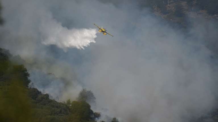 Μαίνεται η φωτιά στη Σαμοθράκη - Καίει σε ορεινό δύσβατο σημείο - Δύσκολη η μάχη των πυροσβεστών [Εικόνες, βίντεο]
