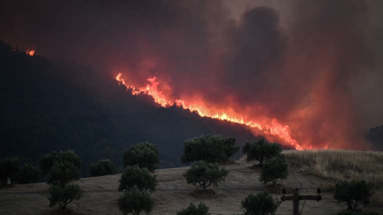 Ηλεία: Προφυλακιστέος o 58χρονος που κατηγορείται για εμπρησμό στα Άγναντα