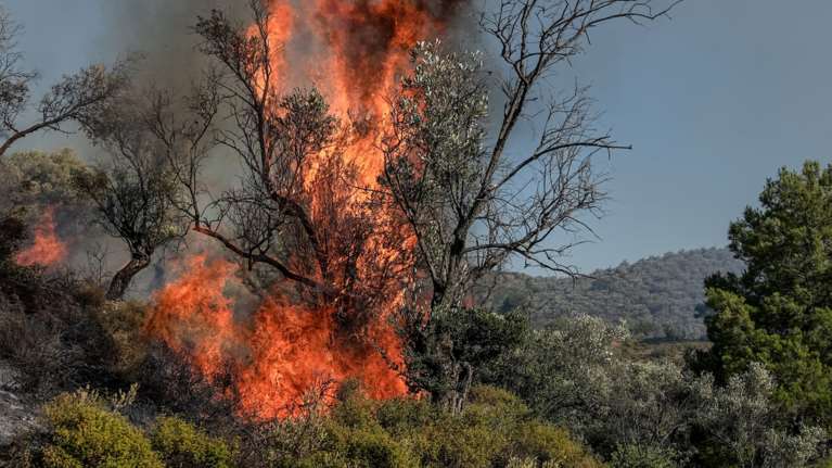 Φωτιά τώρα στο Μαύρο Λιθάρι: Μήνυμα 112 για εκκένωση, έκλεισε η Αθηνών - Σουνίου - Νέα μέτωπα σε Ερύμανθο, Κορινθία, Κεφαλονιά