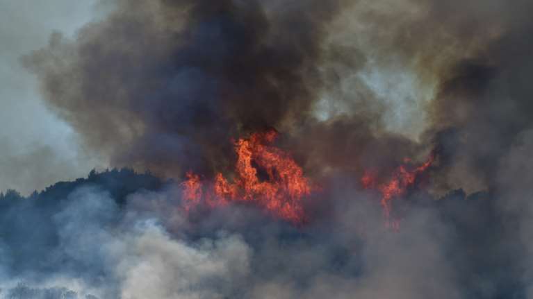 Φωτιά: 61 δασικές πυρκαγιές ξέσπασαν το τελευταίο 24ωρο στη χώρα