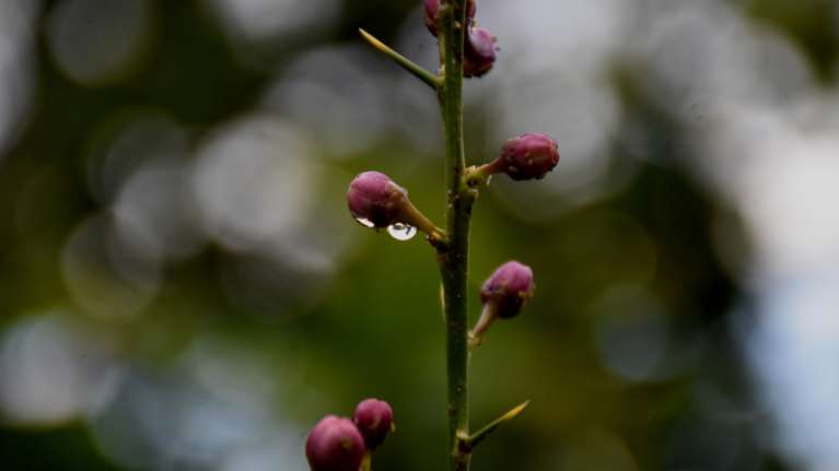 &quot;Τρελός&quot; καιρός και σήμερα: Συνεχίζονται οι βροχές, αλλά ο υδράργυρος σκαρφαλώνει στους 26 βαθμούς