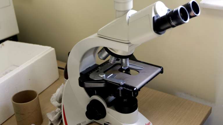 Λευχαιμία: Κλινικές δοκιμές με πολλά υποσχόμενο φάρμακο - Στο τιμόνι της έρευνας δύο Έλληνες