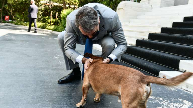 Μητσοτάκης για νομοσχέδιο για την προστασία των ζώων συντροφιάς: &quot;Η Ελλάδα αλλάζει&quot; [Βίντεο]