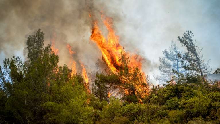 Συνάντηση Φλωρίδη - Κικίλια για την αυστηροποίηση των ποινών στους εμπρηστές - Έρχονται πρόστιμα έως και 30.000 ευρώ