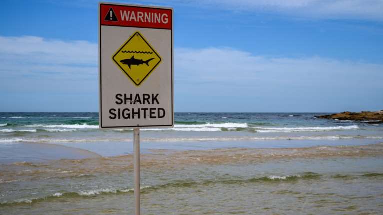 Αυστραλία: Μια νεκρή και ένας σοβαρά τραυματίας μετά από επίθεση καρχαρία