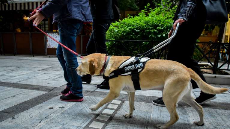 Απίστευτο: Ταξιτζής αρνήθηκε να επιβιβάσει τυφλή παραολυμπιονίκη μαζί με τον σκύλο-οδηγό της [βίντεο]