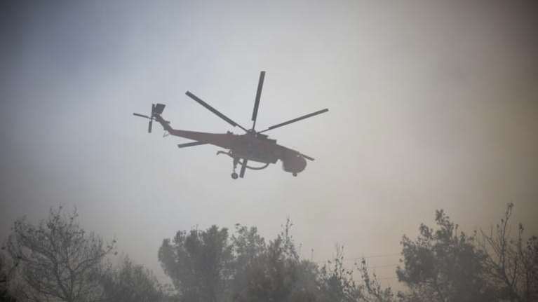 Φωτιά στη Χαλκιδική: Πυρκαγιά ξέσπασε στη Συκιά - Μεγάλη πυροσβεστική δύναμη στο σημείο