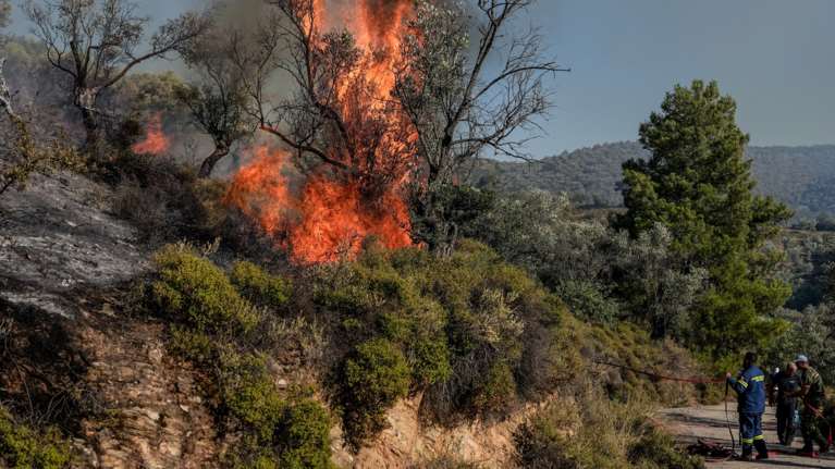 Φωτιές σε Ασπρόπυργο, Σπάρτη, Καλάβρυτα και Λαμία