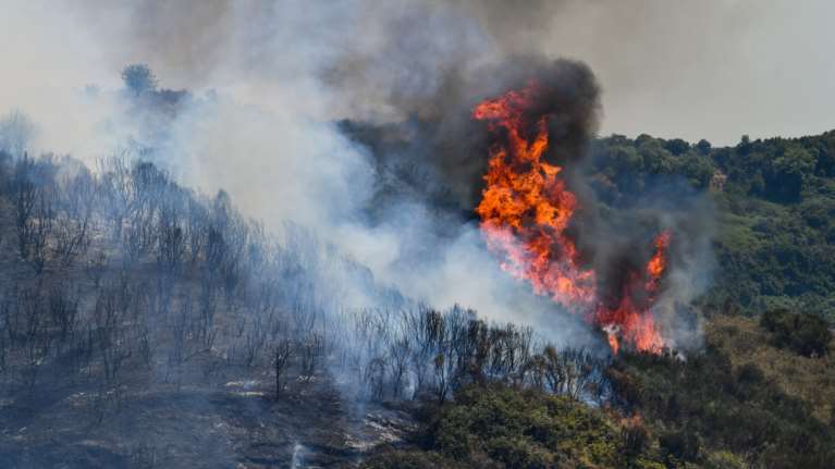 Λέσβος: Μάχη πυροσβεστών και εθελοντών για τη μεγάλη πυρκαγιά - Απεγκλωβίστηκαν 2 άτομα