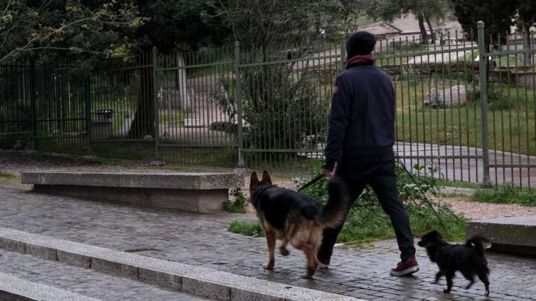 Απαγόρευση κυκλοφορίας: Τι θα γίνει με τις βόλτες με τα κατοικίδια - Η εξήγηση Χαρδαλιά