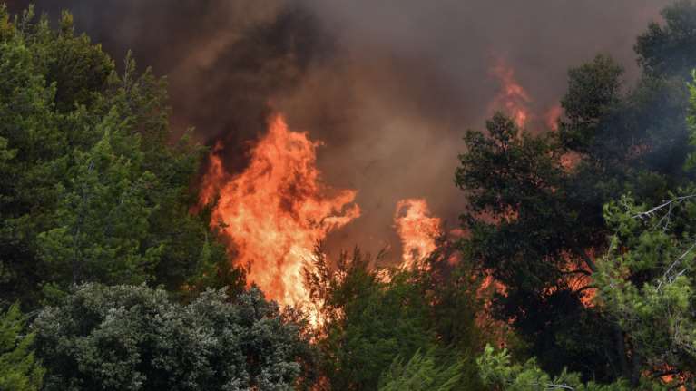 Νέα φωτιά στη Χαλκιδική: Καίγεται δάσος στη Βουρβουρού [βίντεο]