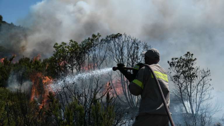 Υπό μερικό έλεγχο η πυρκαγιά σε δασική έκταση στην περιοχή Βρωμοπούσι Λαυρεωτικής